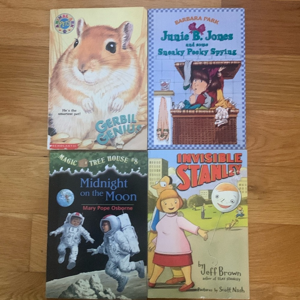 books including animal ark,magical treehouse,junie b jones,invisible stanley